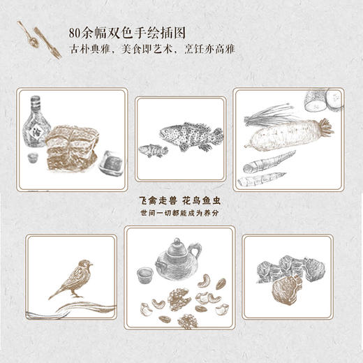 (仓发) 随园食单 不负好食光/中国轻工业出版社/袁枚/9787518426928 商品图3