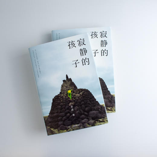 (仓发) 寂静的孩子 袁凌  中信出版社/中信出版集团，中信出版社/袁凌/9787521704471 商品图7