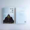 (仓发) 寂静的孩子 袁凌  中信出版社/中信出版集团，中信出版社/袁凌/9787521704471 商品缩略图6