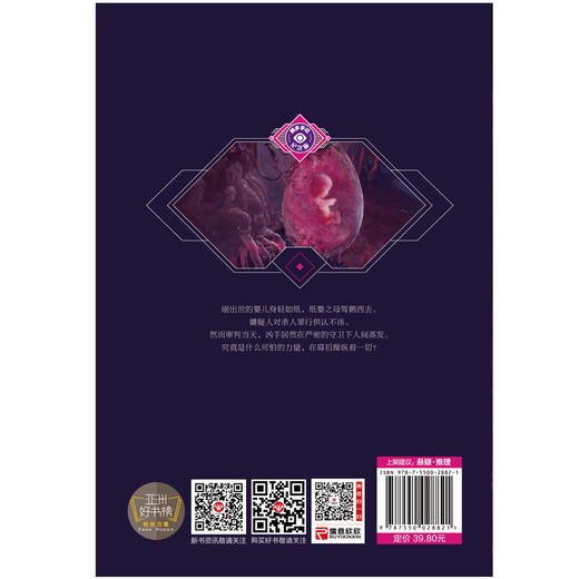 (仓发) 纸婴/百花洲文艺出版社/那多/9787550029347 商品图2