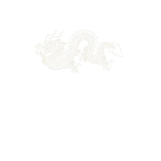 中国古代丝绸设计素材图系：辽宋卷/徐铮、蔡欣|总主编:赵丰/浙江大学出版社 商品图2