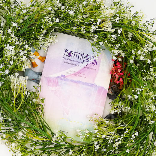 (仓发) 旋木情缘/天津人民出版社/[美]堂娜·法萨诺/9787201112817 商品图2