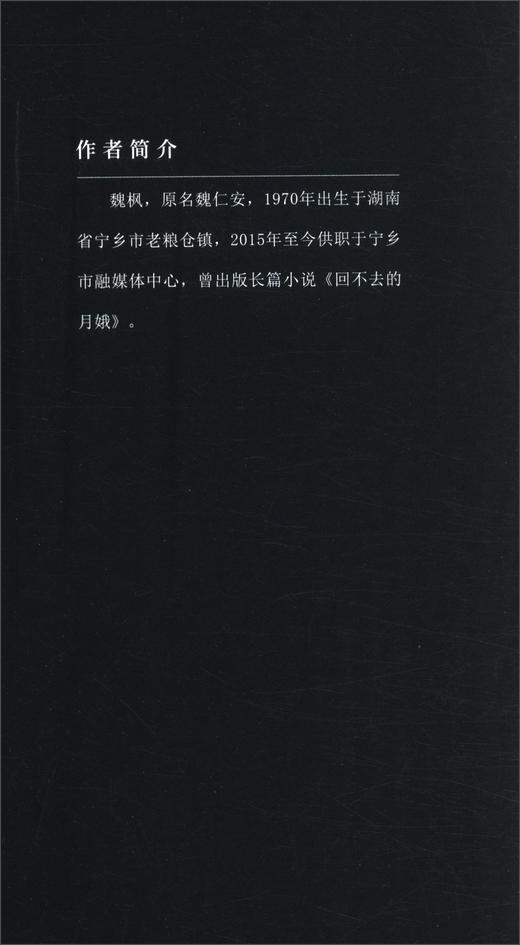 (仓发) 金匠一号/中国言实出版社/魏枫/9787517132165 商品图3