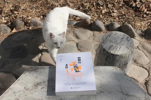 (仓发) 鲍鹏山品水浒/中国民主法制出版社/鲍鹏山/9787516223390 商品图2