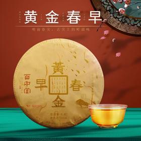 百中堂 2021年黄金春早云南高山普洱生茶饼早春生茶明前500克