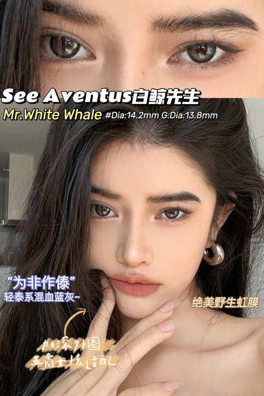 SeeAventus品牌-白鲸先生 商品图2