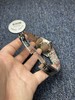 劳力士日志型 蓝盘钻面 41mm 男士腕表
表径：41mm 商品缩略图7