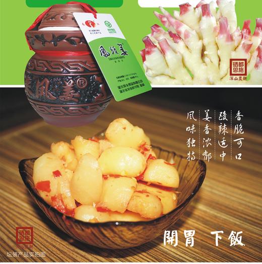 凤头姜 500g/坛 商品图1