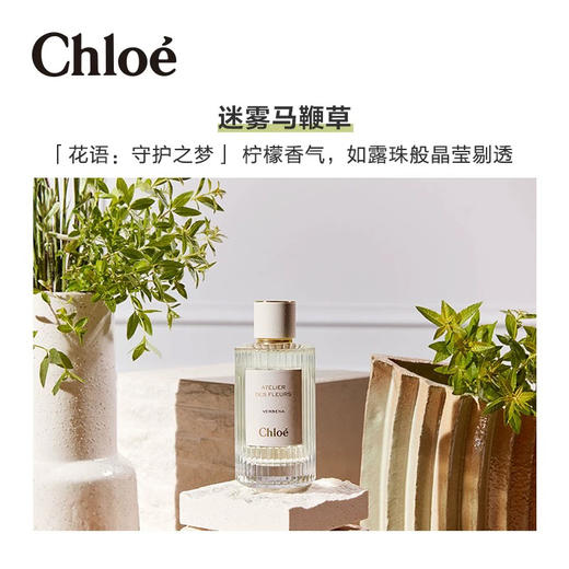 Chloé 蔻伊 仙境花园系列 烟雨茉莉/北国雪松/木兰诗语（50ml） 商品图4