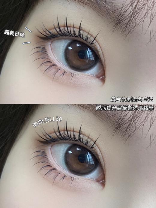 Lillilly品牌日抛-LL30肉肉灰（灰褐色）10p/盒 商品图7