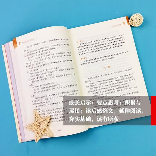 (仓发) 欧洲民间故事.聪明的牧羊人 快乐读书吧 五年级上册阅读 附带阅读耐力记录表 商务印书馆/商务印书馆/[意]伊塔洛·卡尔维诺，等/9787100186254 商品图7