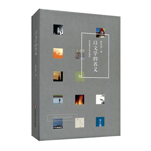 (仓发) 以文学的名义/华东师范大学出版社/薛忆沩/9787567576599 商品图0
