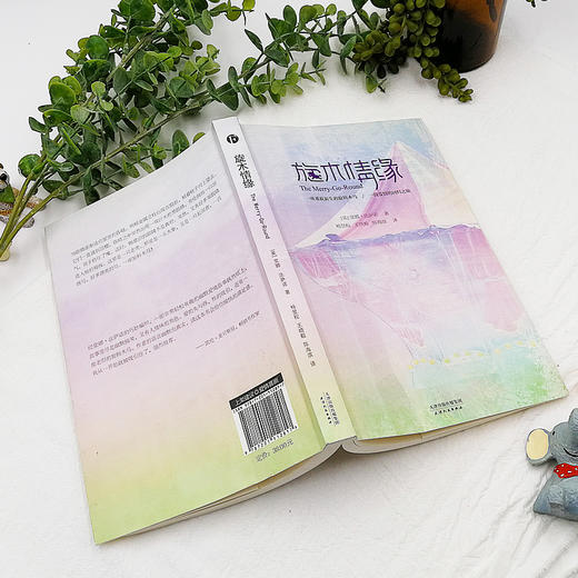 (仓发) 旋木情缘/天津人民出版社/[美]堂娜·法萨诺/9787201112817 商品图7