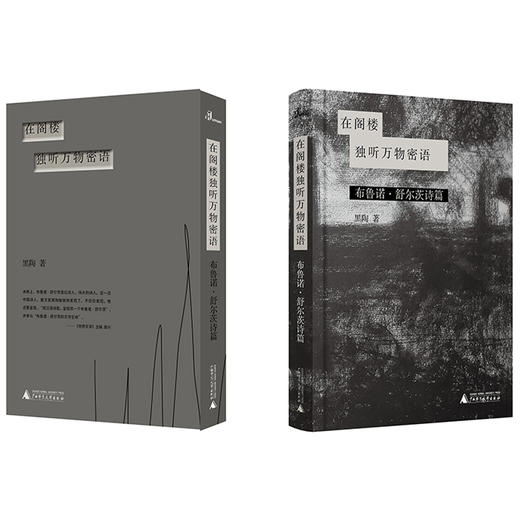 (仓发) 新民说·在阁楼独听万物密语：布鲁诺·舒尔茨诗篇/广西师范大学出版社/黑陶，新民说出品/9787559827555 商品图2