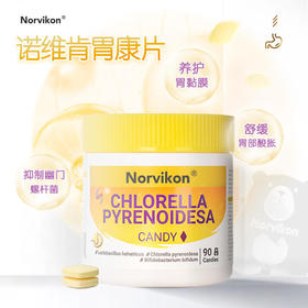 【养胃】美国诺维肯胃康片保养胃粘膜舒缓胃酸胃炎胃痛恢复胃动力调节肠道菌群告别口臭