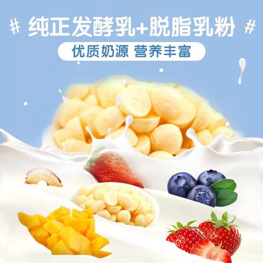 南园国色益生元羊乳溶豆10克 多口味 商品图4