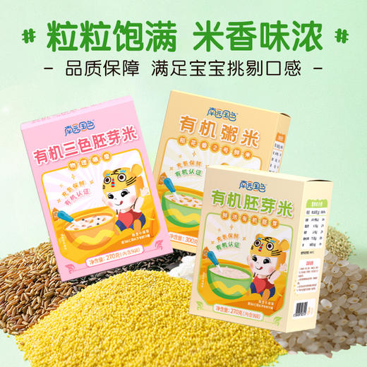 南园国色 有机胚芽米/粥米 多种选择 商品图5