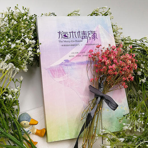 (仓发) 旋木情缘/天津人民出版社/[美]堂娜·法萨诺/9787201112817 商品图6