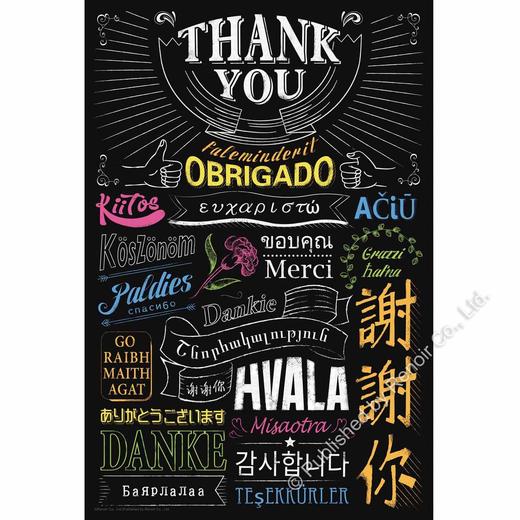 谢谢你/彩色版300片 商品图0