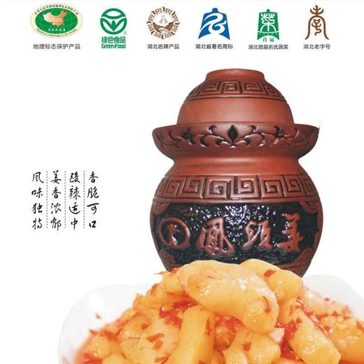 凤头仔姜王 1.0KG 鲜嫩仔姜下饭菜 商品图0