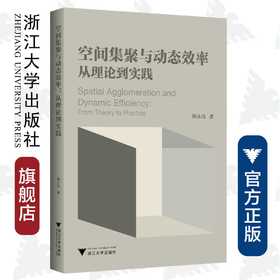 空间集聚与动态效率：从理论到实践/陶永亮/浙江大学出版社