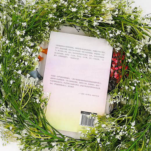 (仓发) 旋木情缘/天津人民出版社/[美]堂娜·法萨诺/9787201112817 商品图3