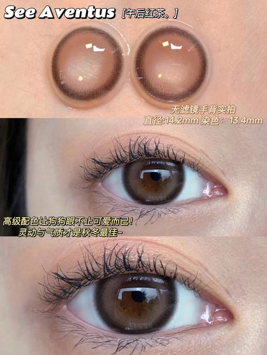 SeeAventus品牌-午后红茶 商品图2