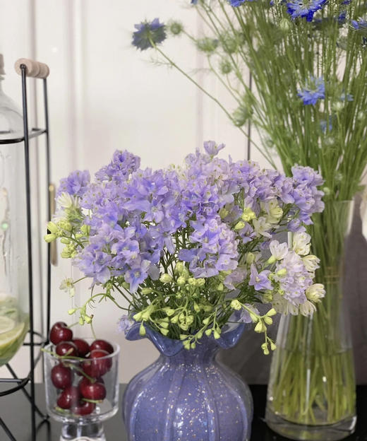 【 自由/热爱生活】小飞燕（单瓣）多色可选  若干枝/扎 商品图9