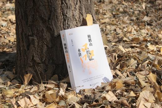 (仓发) 鲍鹏山品水浒/中国民主法制出版社/鲍鹏山/9787516223390 商品图1