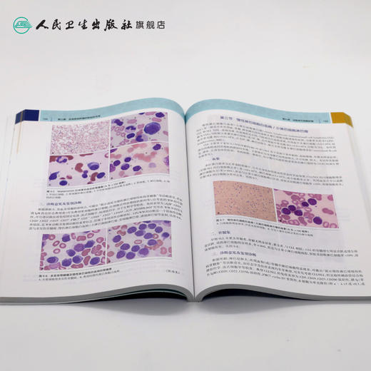 临床骨髓细胞检验形态学 王霄霞 夏薇 龚道元 主编 供医学检验技术专业用 9787117279659 2019年4月创新教材 商品图4