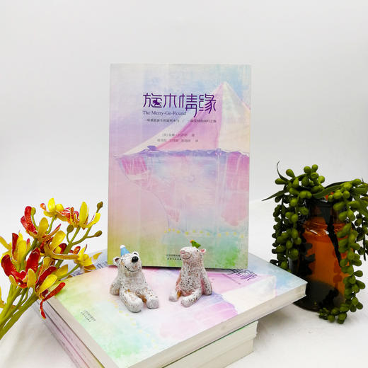 (仓发) 旋木情缘/天津人民出版社/[美]堂娜·法萨诺/9787201112817 商品图9