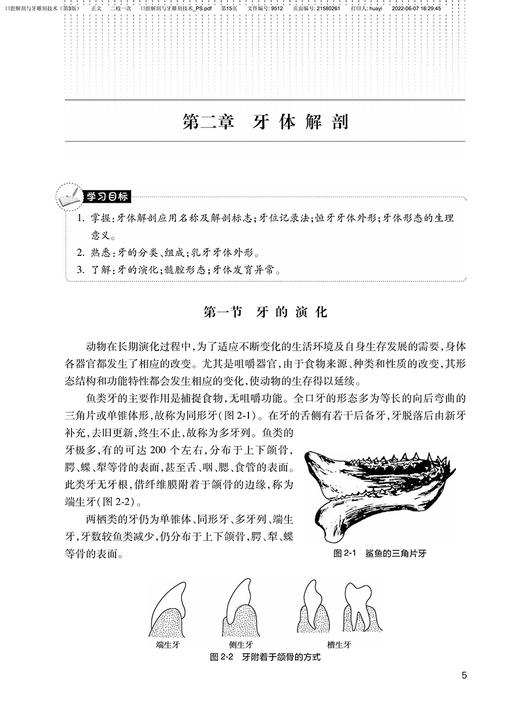 口腔解剖与牙雕刻技术 第3版 全国中等卫生职业教育教材 供口腔修复工艺专业用 马惠萍中职口腔 人民卫生出版社9787117329774 商品图4