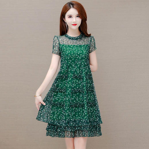 YWE XCH102贵夫人雪纺裙气质印花修身显瘦时尚连衣裙 商品图1