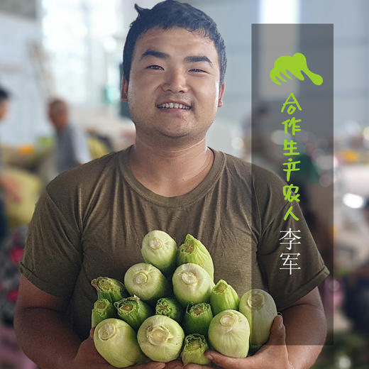 生态陕西水果玉米 | 合作生产*Eco-Fruit corn  | Coproduction 商品图1