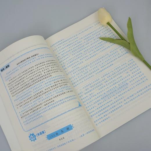 (仓发) 语文优+阅读·五年级（第二版）/华东师范大学出版社/本社/9787576011524 商品图3