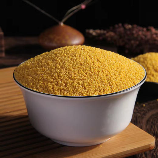 陕西有机种植小米 商品图0