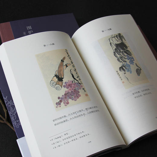 (仓发) 围炉夜话（精心注解+典雅插画）/古吴轩出版社/[清]王永彬/9787554615379 商品图6