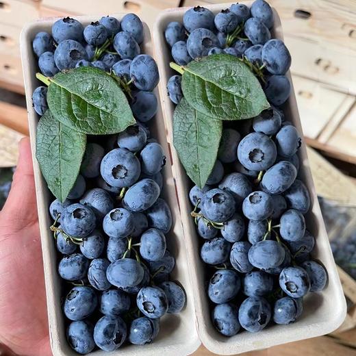 挂霜整串蓝莓一盒 商品图0