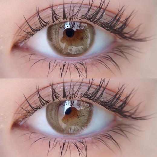 Lillilly品牌日抛-LL17布鲁克棕10p/盒 商品图6