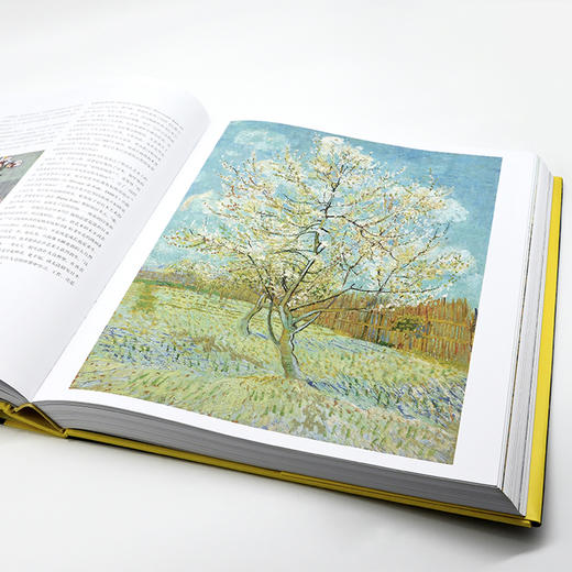 (仓发) （樊登推荐）梵高 化世间痛苦为激情洋溢的美（精装）/华中科技大学出版社/[法]扬·布朗/9787568041638 商品图5