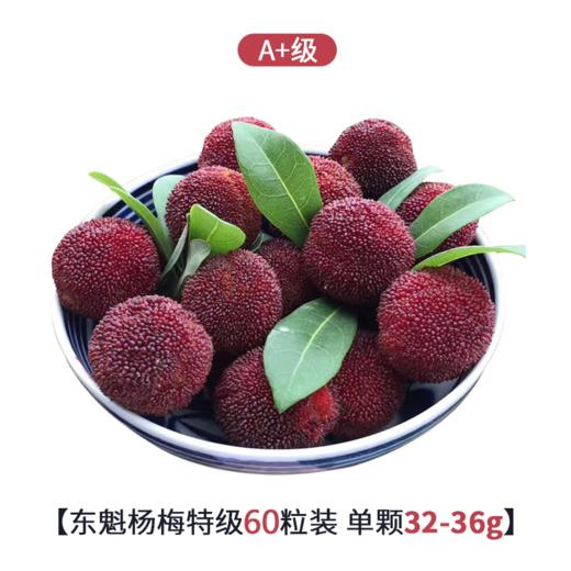 等待365天的美味|台州仙居东魁杨梅|特级A+60颗装|下单现摘|顺丰冷链发货 [福利品] 商品图0