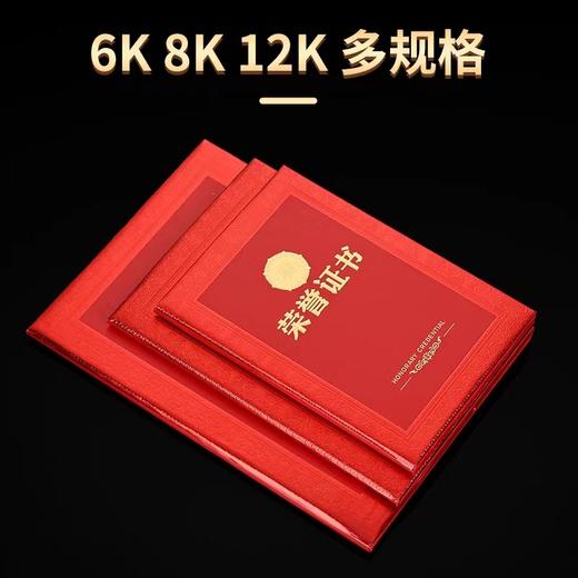 加厚特种纸浮雕烫金荣誉证书12开8开6开 商品图2