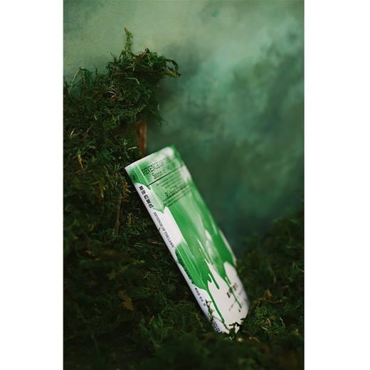(仓发) 草坪的复仇/广西师范大学出版社/[美]理查德·布劳提根/9787559843661 商品图3