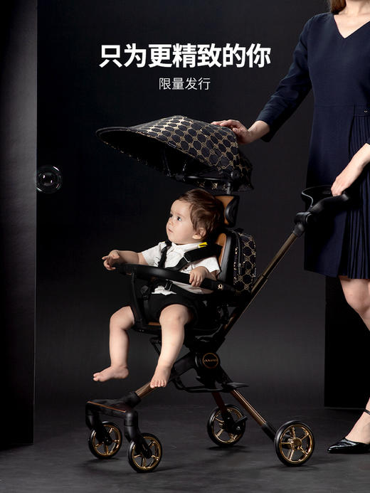 【Delama德拉玛】遛娃神器S2 升级U型头枕 商品图2