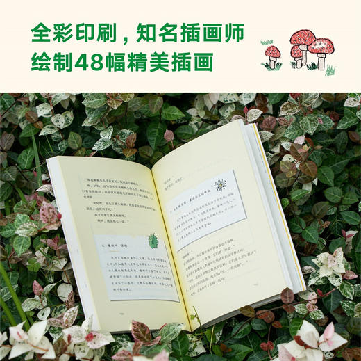 (仓发) 我的妈妈是精灵2：畅销百万册的《我的妈妈是精灵》出续集了！爱与感动的成长小说，陪孩子长大的中国儿童文学经典。/福建少年儿童出版社/果麦文化 出品；陈丹燕/9787539571997 商品图6
