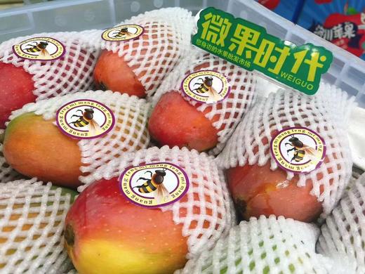 蜜蜂芒2斤（拼团) 商品图0