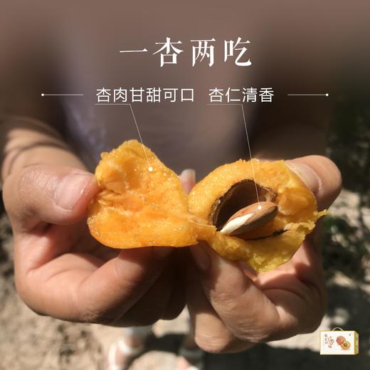 新疆小红杏 一杏两吃 多规格   肉糯汁浓 耐放 商品图1