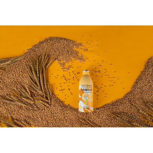 【德式白啤】460ml*6支 COOSOUL酷鼠精酿系列 商品图12