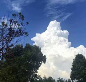 请远离负能量的人