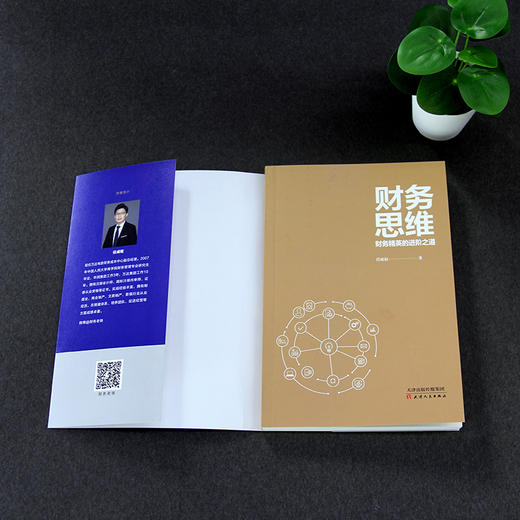 (仓发) 财务思维：财务精英的进阶之道 财务管理书籍/天津人民出版社/任成枢/9787201162768 商品图6